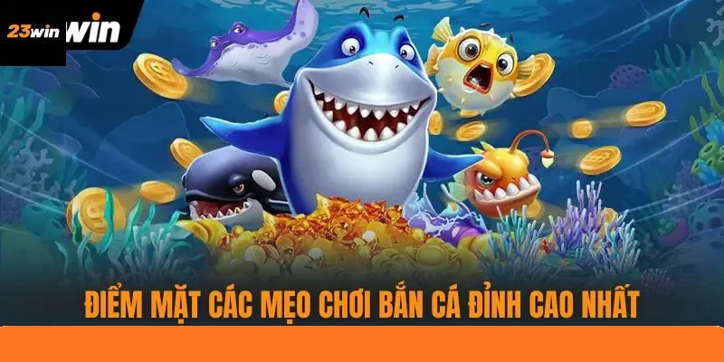 Điểm mặt các mẹo chơi bắn cá đỉnh cao nhất Điểm mặt các mẹo chơi bắn cá đỉnh cao nhất
