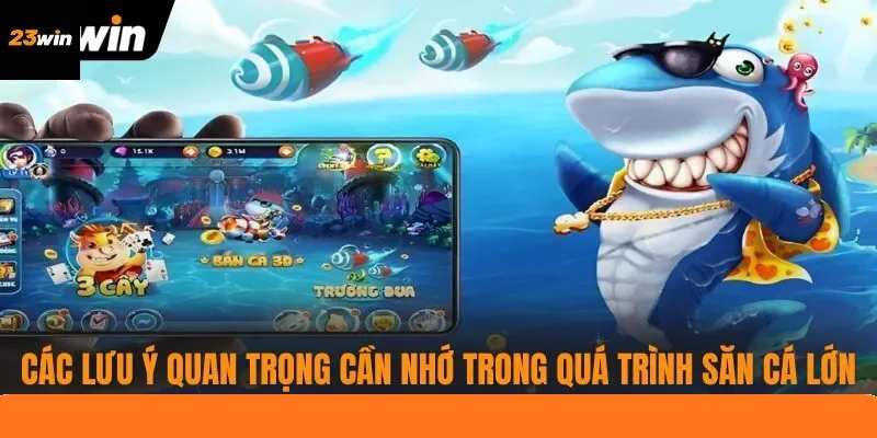 Các lưu ý quan trọng cần nhớ trong quá trình săn cá lớn Các lưu ý quan trọng cần nhớ trong quá trình săn cá lớn
