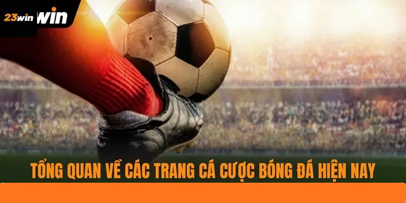 Tổng quan về những trang cá cược bóng đá hiện nay Tổng quan về những trang cá cược bóng đá hiện nay